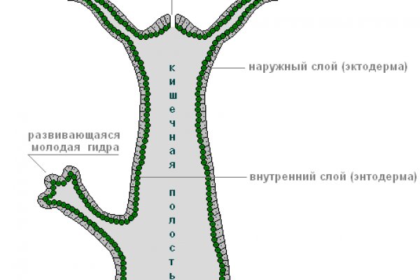 Настоящая ссылка на кракен